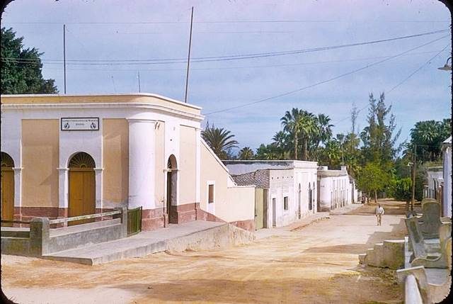 Dirt street lined with whitewashed buildings and palm trees in San José del Cabo in 1957